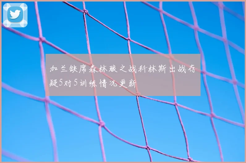 加兰缺席森林狼之战科林斯出战存疑5对5训练情况更新