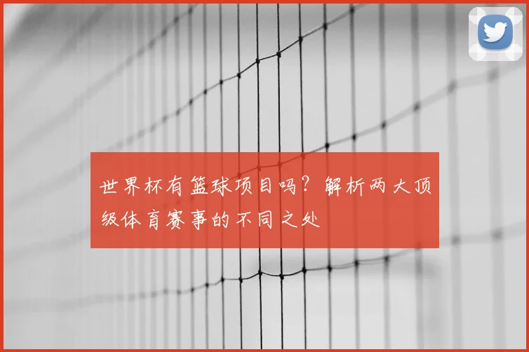 世界杯有篮球项目吗?解析两大顶级体育赛事的不同之处