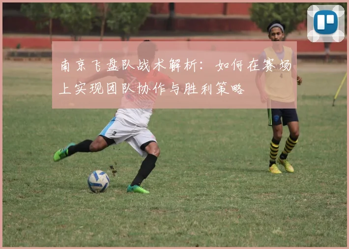南京飞盘队战术解析：如何在赛场上实现团队协作与胜利策略