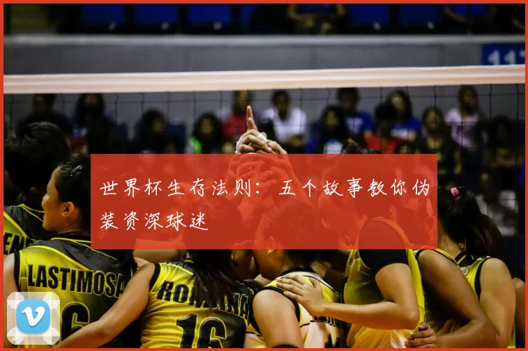 世界杯生存法则：五个故事教你伪装资深球迷