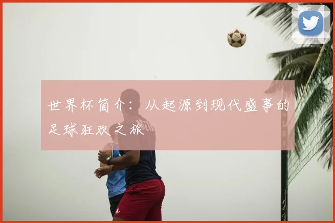 世界杯简介：从起源到现代盛事的足球狂欢之旅