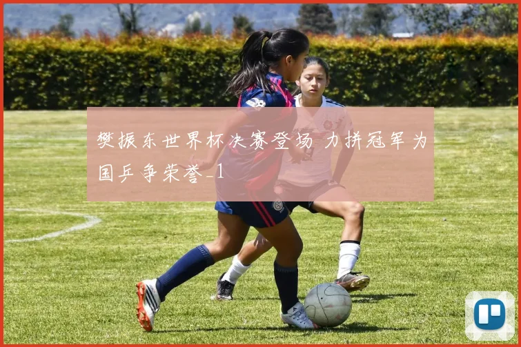 樊振东世界杯决赛登场 力拼冠军为国乒争荣誉_1
