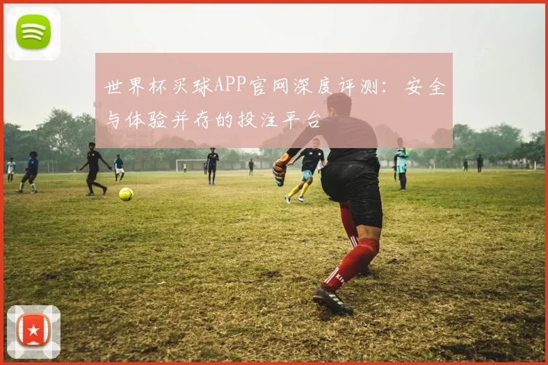 世界杯买球APP官网深度评测:安全与体验并存的投注平台