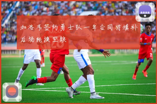 加洛韦签约勇士队一年合同将填补后场轮换空缺