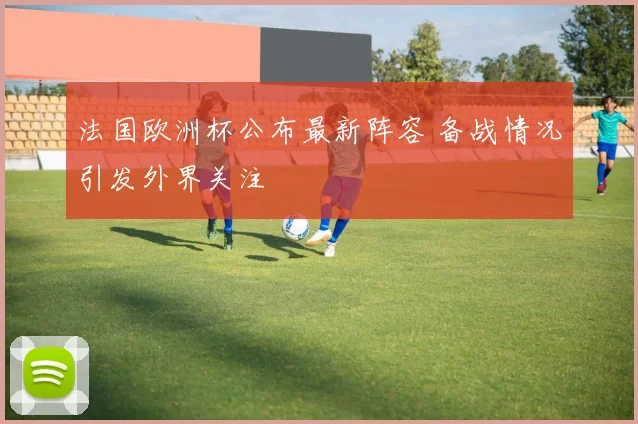 法国欧洲杯公布最新阵容 备战情况引发外界关注