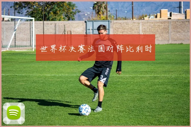 世界杯决赛法国对阵比利时