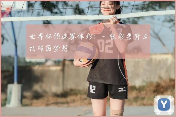 世界杯预选赛体彩：一张彩票背后的绿茵梦想