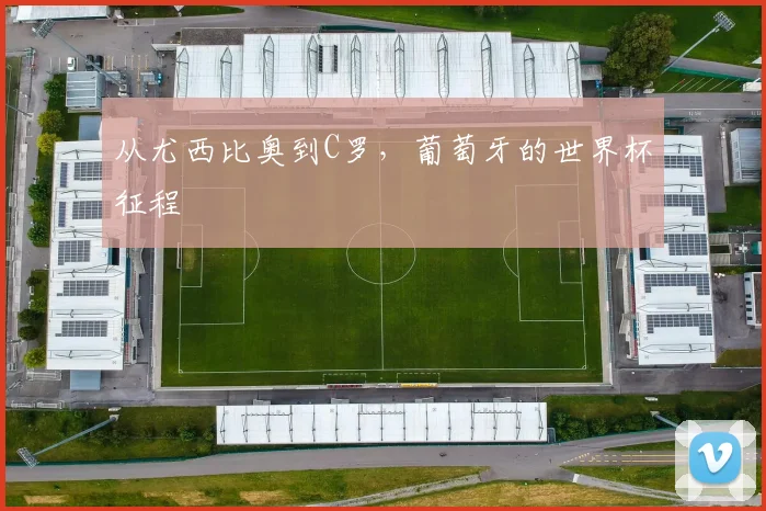 从尤西比奥到C罗,葡萄牙的世界杯征程