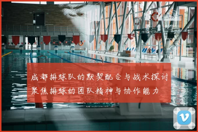 成都排球队的默契配合与战术探讨聚焦排球的团队精神与协作能力